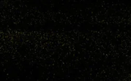 Avery Supreme - Gloss Metallic Eclipse (BL8220001)