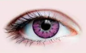 ENCHANTED LILAC CONTACT LENSES